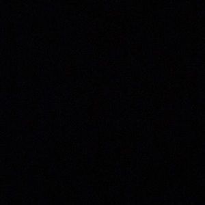 Meet your Posher, Paulette